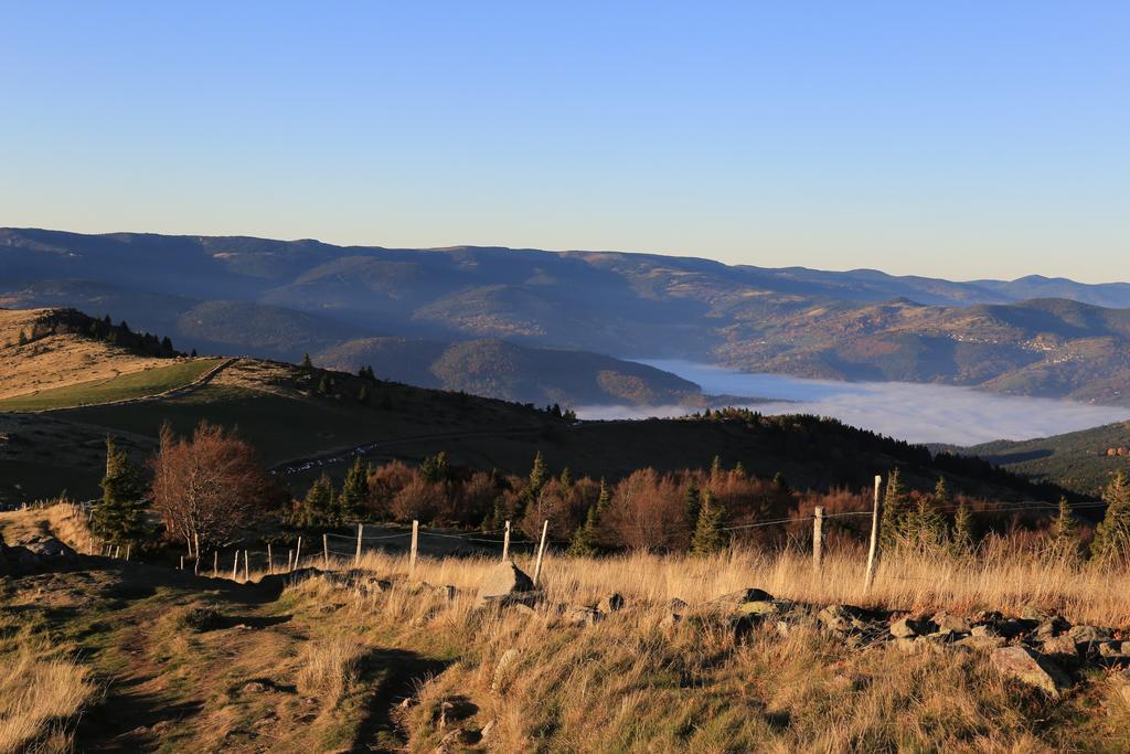 Le Holzberg Et Ses Suites Osenbach Buitenkant foto