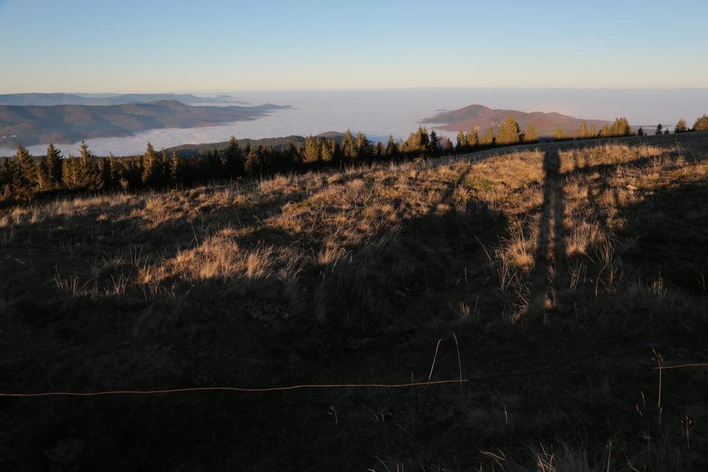 Le Holzberg Et Ses Suites Osenbach Buitenkant foto