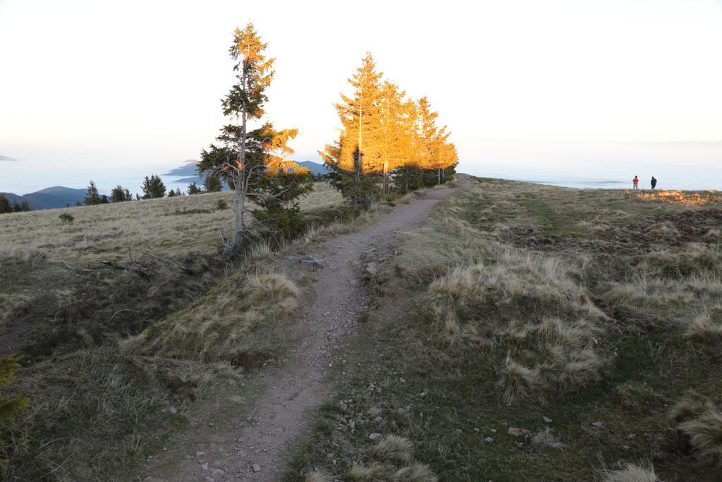 Le Holzberg Et Ses Suites Osenbach Buitenkant foto