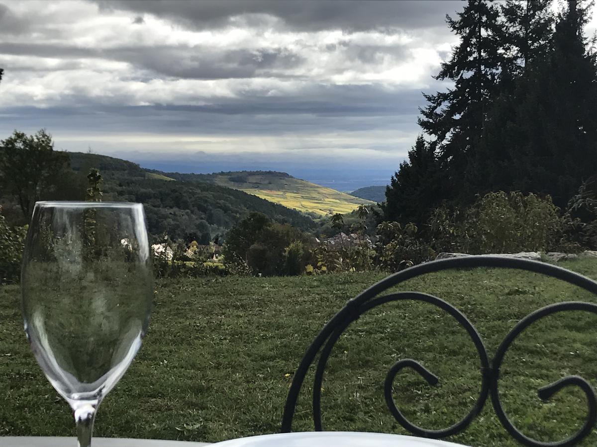 Le Holzberg Et Ses Suites Osenbach Buitenkant foto